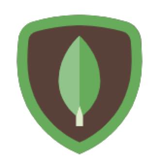 MongoDB